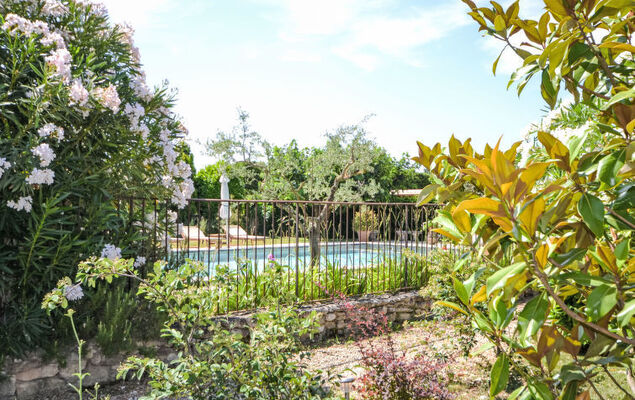 L'Olivier - Photo 39