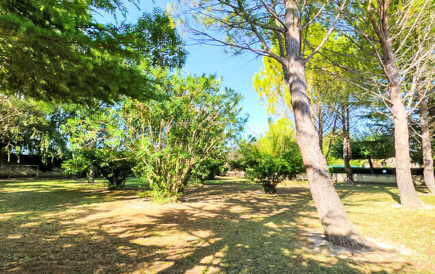 de la Roque - Photo 37