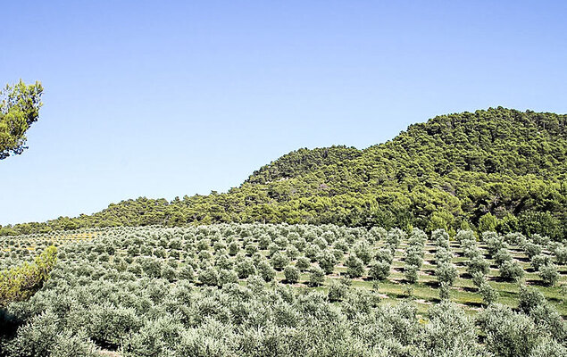 Domaine de Piegros - Photo 51